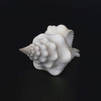 Emmanuel Berry - Muschel III