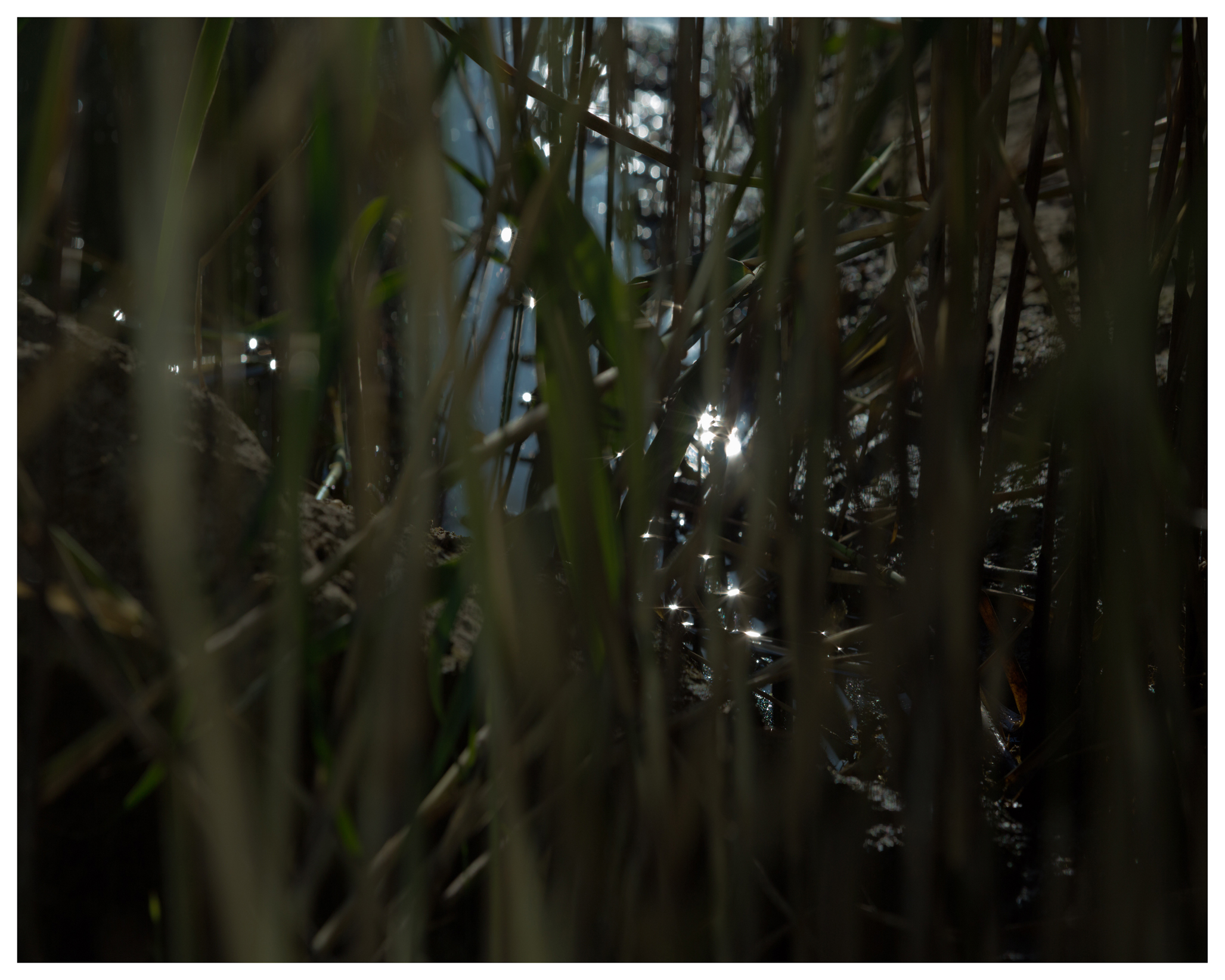 Lev Khesin Ohne Titel - LÄKEMÄKER