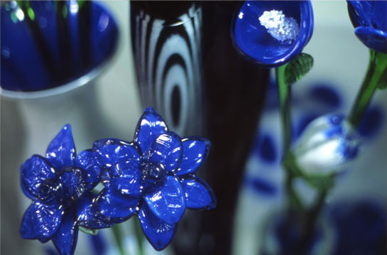 Nicola Rubinstein Pragblumen # 1 - LÄKEMÄKER