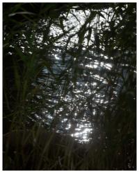 Lev Khesin - Ohne Titel