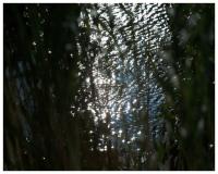 Lev Khesin - Ohne Titel