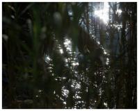 Lev Khesin - Ohne Titel