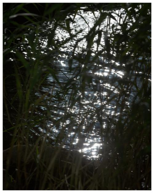 Lev Khesin Ohne Titel - LÄKEMÄKER