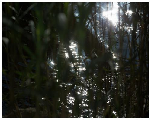 Lev Khesin Ohne Titel - LÄKEMÄKER