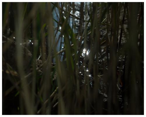 Lev Khesin Ohne Titel - LÄKEMÄKER